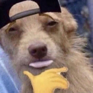 Meet your Posher, Leo